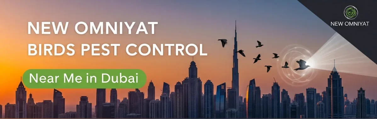 New Omniyat Birds Pest Control Near Me in Dubai