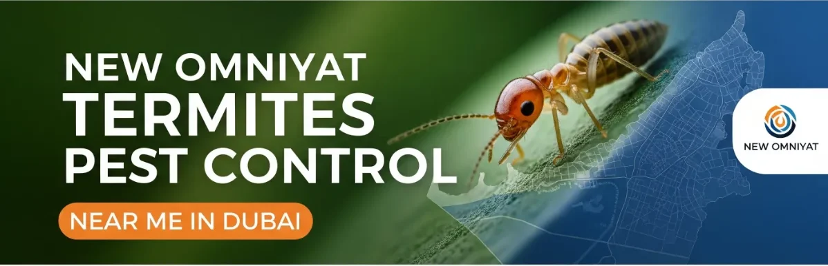 New Omniyat Termites Pest Control Near Me in Dubai