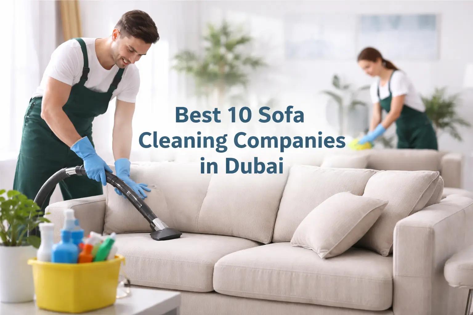 Sofa Cleaning Companies